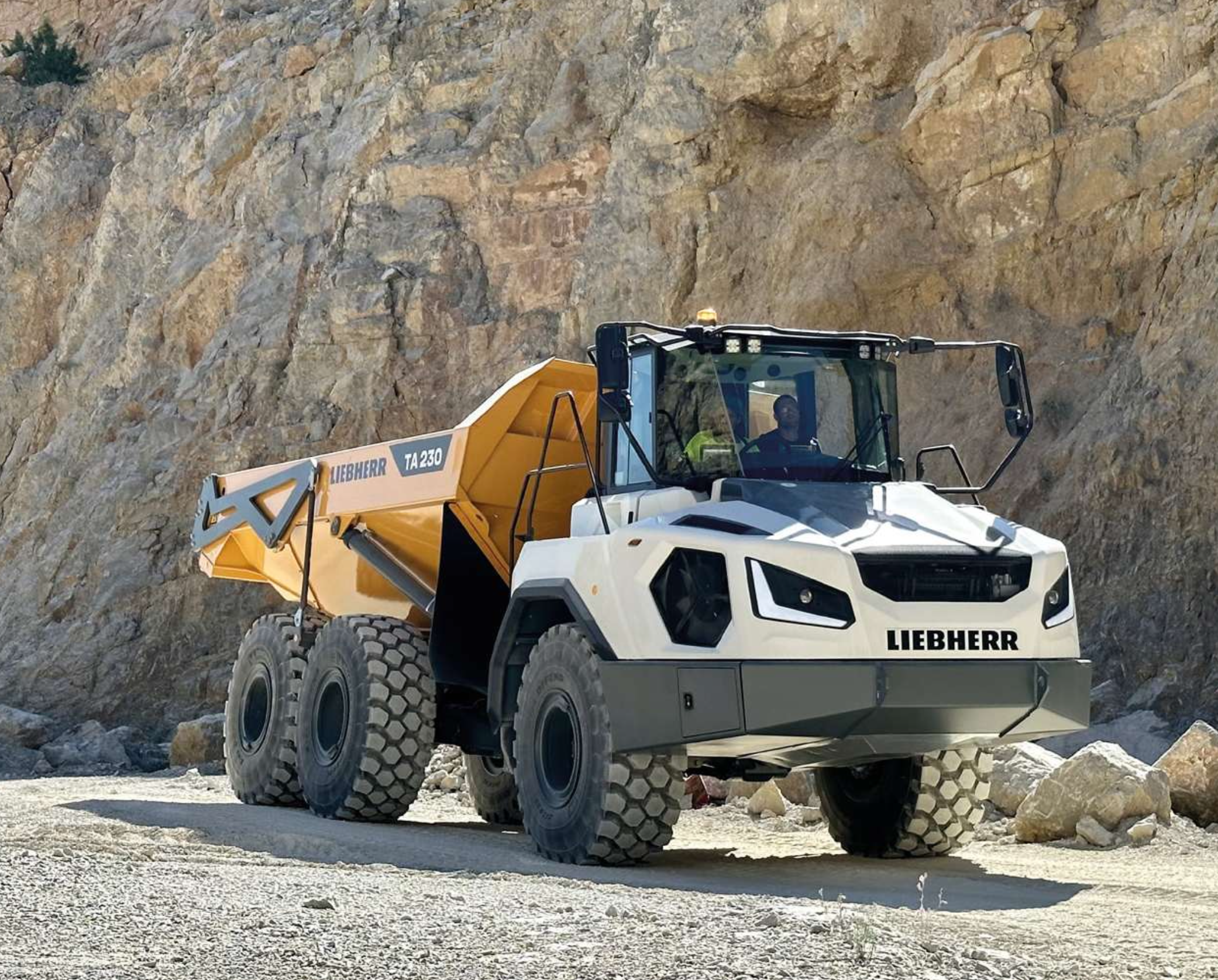 Liebherr TA230